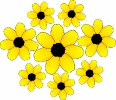 yellow_flowers_T