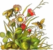 bees_flowers