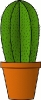 cactus_houseplant