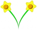 daffodils_pair_edged