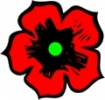 Flower_red_black