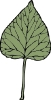 ivy_leaf_6
