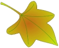 leaf_01