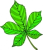 Leaf_104