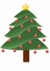 lightly_decorated_evergreen_01