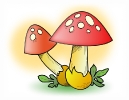 mushroom_red_cap
