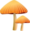 orange_mushroom