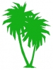palm_tree_3