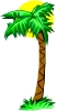 palm_tree_4