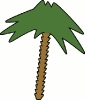 palm_tree_5
