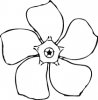 periwinkle_flower_top_view_BW