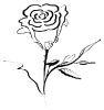 rose_calligraphic