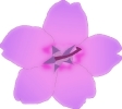 soft_purple_blossom