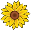 sunflower_1