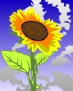sunflower_styled