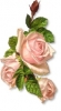 three_pink_roses