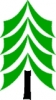 tree_fir_logo