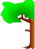 tree_right_border