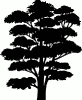 Tree_silhouettes_1