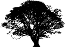 Tree_silhouettes_5