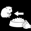 hamster eten geven