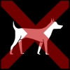 hond 2 kruis rood