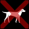 hond 3 kruis rood