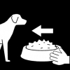 Hond eten geven 3