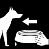 Hond water geven 2