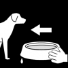 Hond water geven 3
