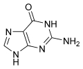 Guanine_chemical_structure