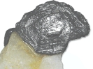 Molybdenite__crystal_on_Quartz