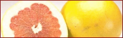 grapefruit_banner
