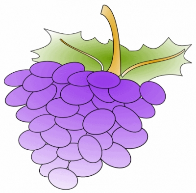 grapes_1