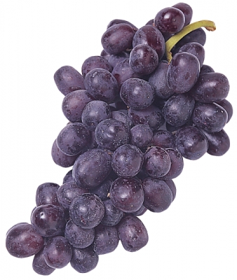 grapes_6_T