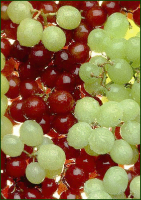 ripe_grapes