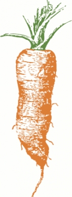 carrot_2_tone