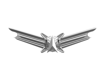 Air_Force_Space_Badge__Basic