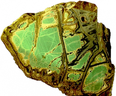 Variscite__cut_and_polished