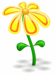 flower_yellow_with_shadow_T