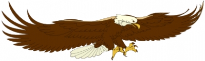 eagle_hunting