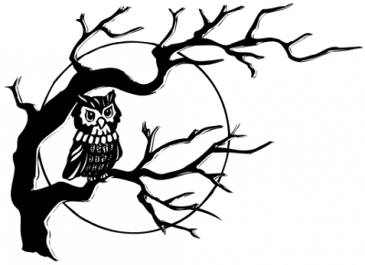Owl_in_tree
