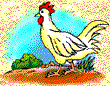 rooster_sm