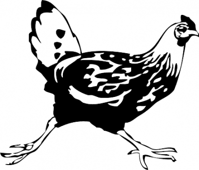 running_chicken