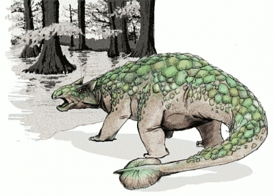 Ankylosaurus_2
