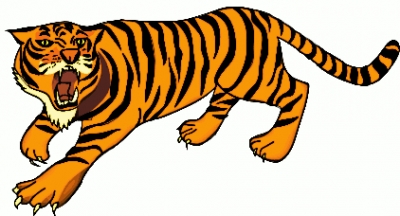 tiger_3