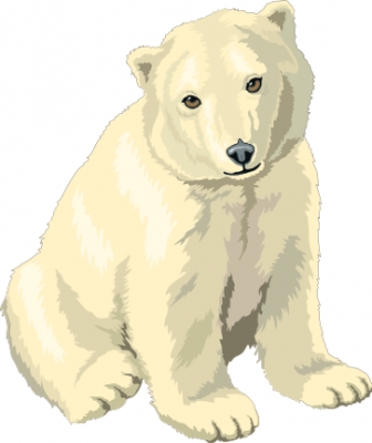 bear_polar_2