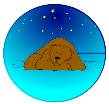 bear_sleeping