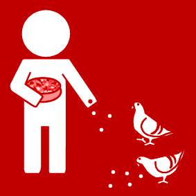 duif eten geven 2 rood