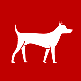 hond 2 rood